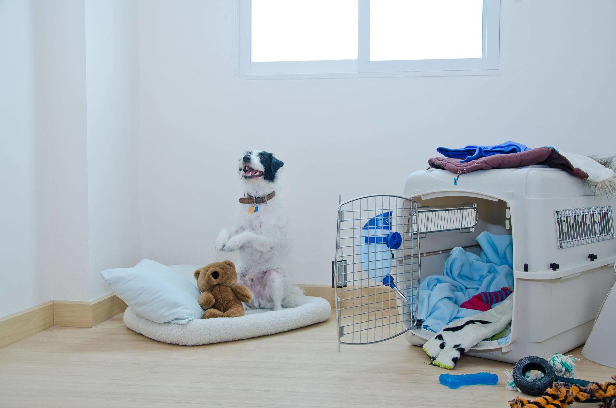 Khách sạn hẻo lánh Kozy