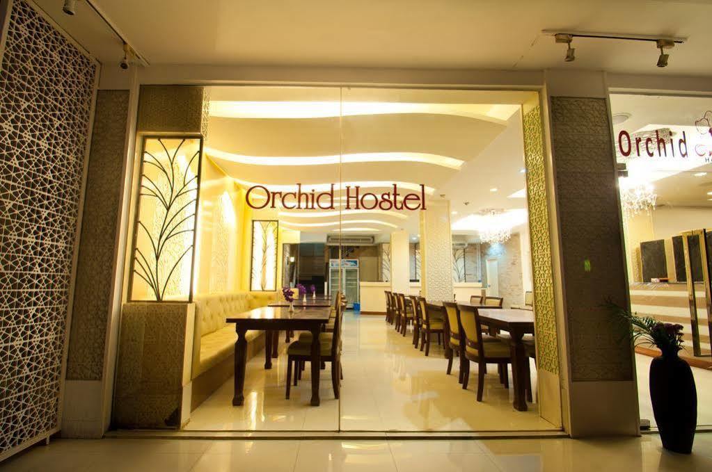 Orchid *