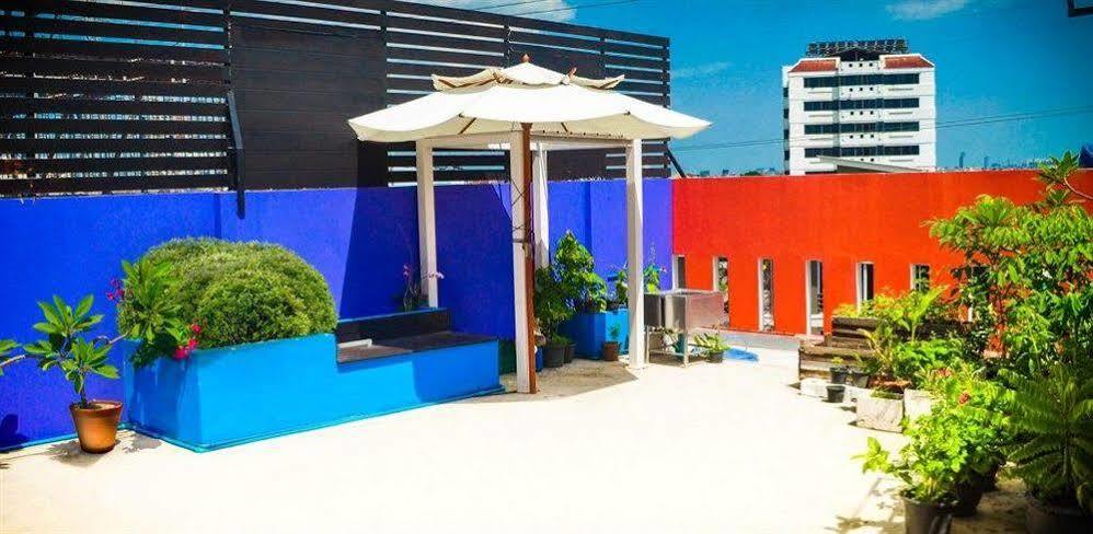 Bed and breakfast Mstay 3*