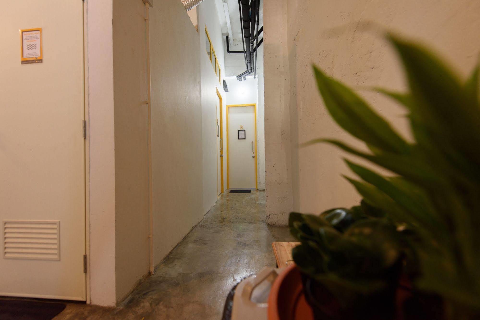 Hostel Warm White