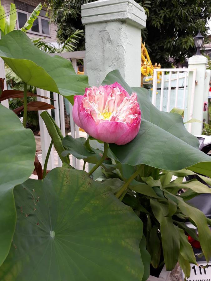 Ostello D Heart Bangkok