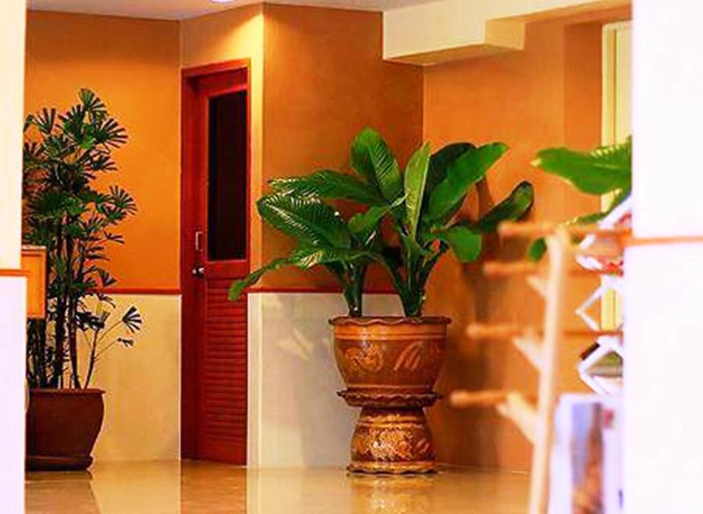 Cozy Khách sạn 3*