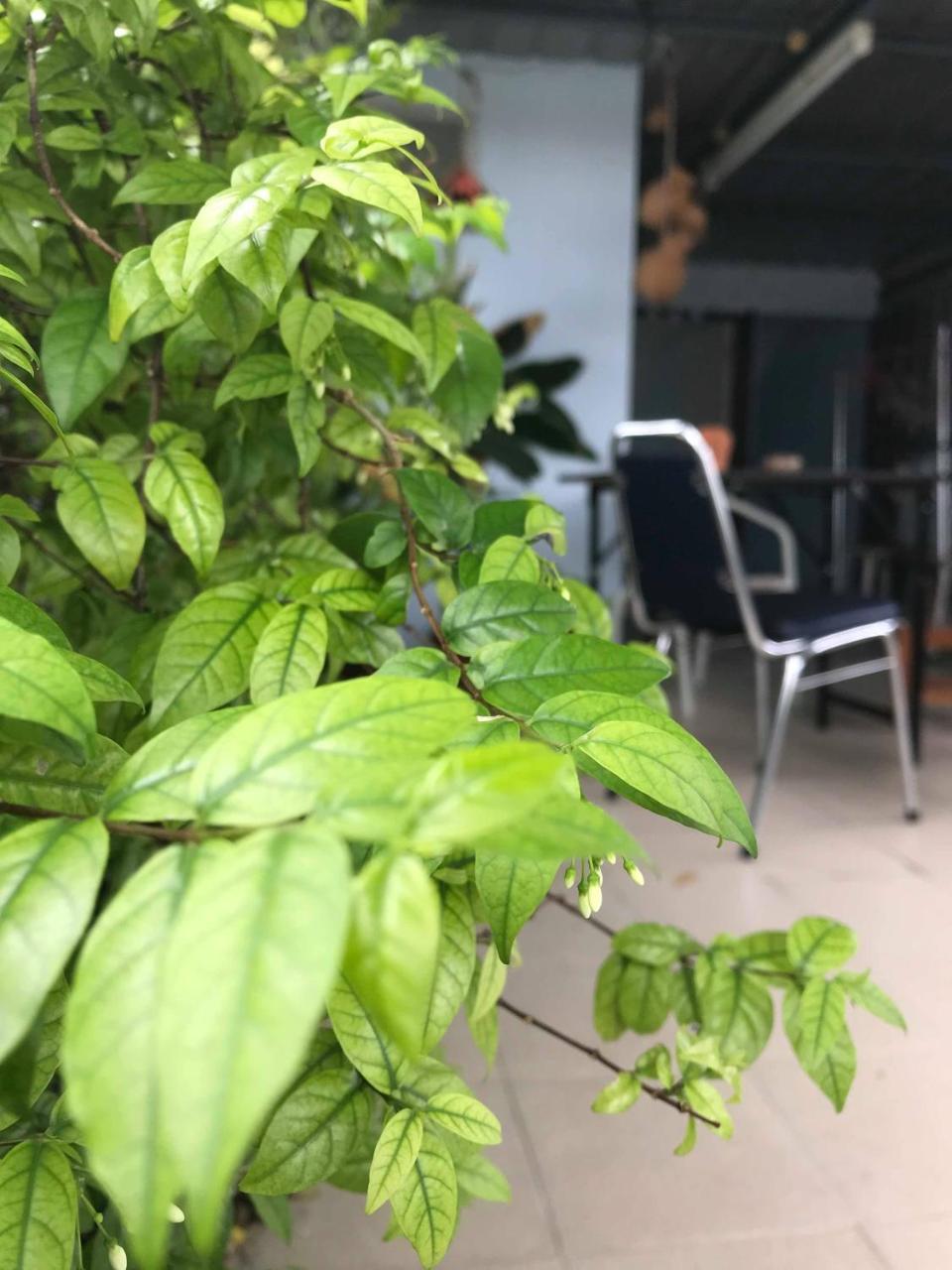 Jeesnail Guest house