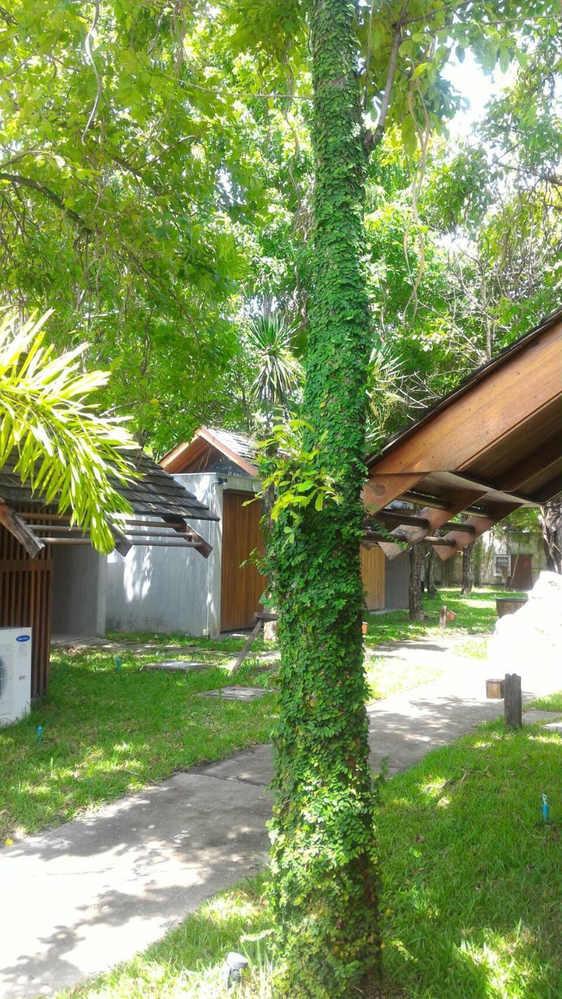 Into The Forest Hotel 3*