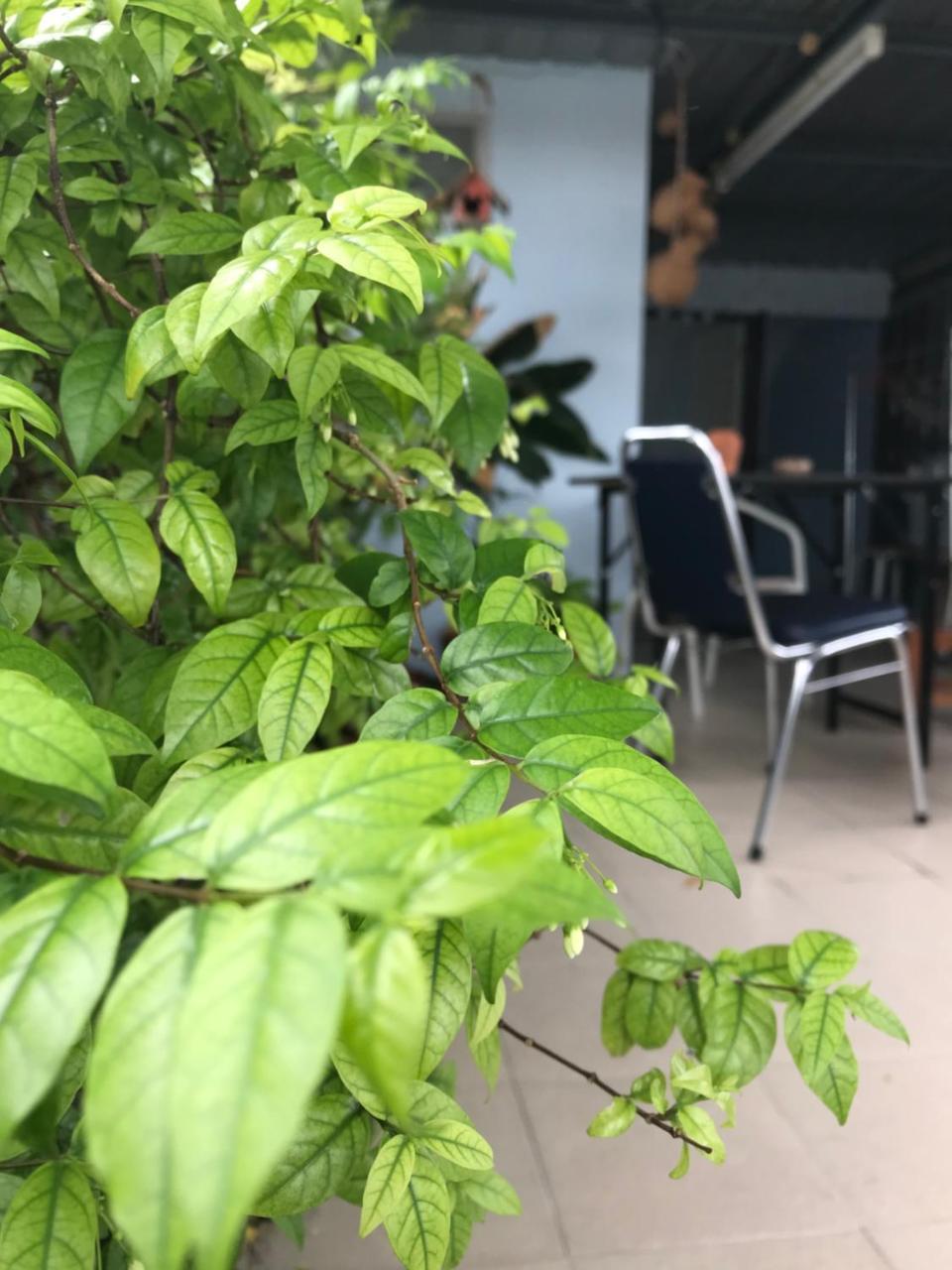 Jeesnail Bangkok