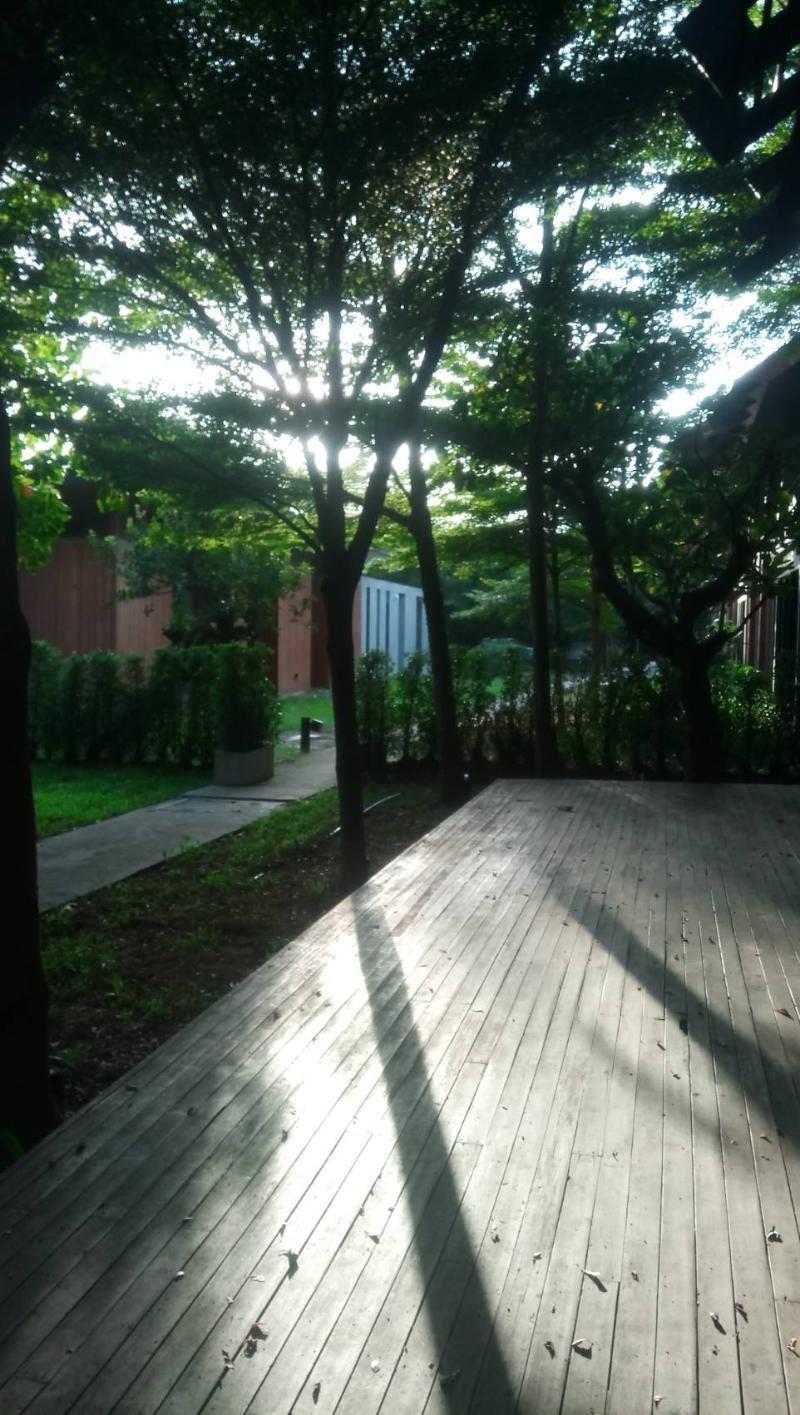 Into The Forest Hotel