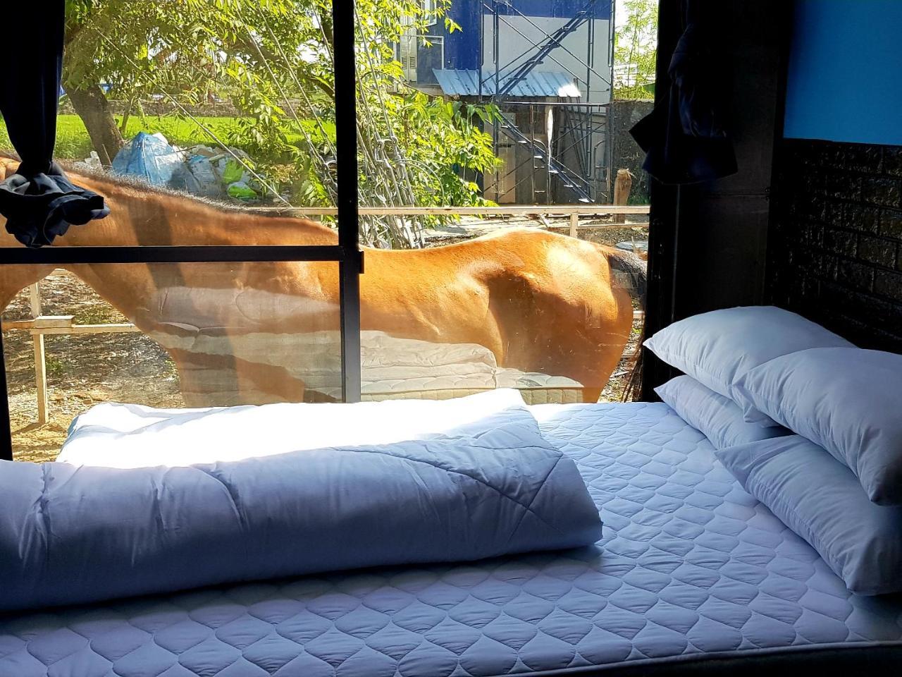 Rodeo House Bkk Farm stay *