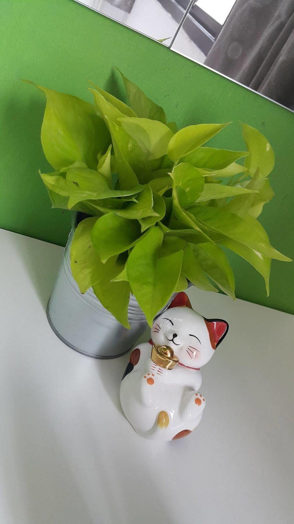 De Talak Bangkok