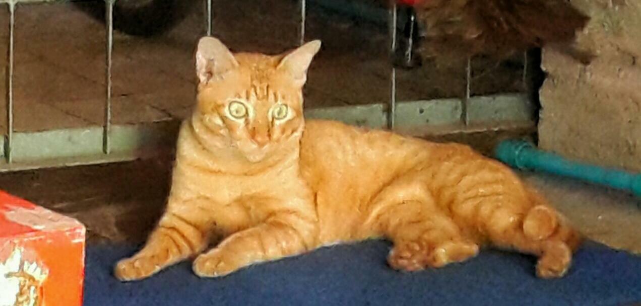 Guest house Cafe De Baan Raow *