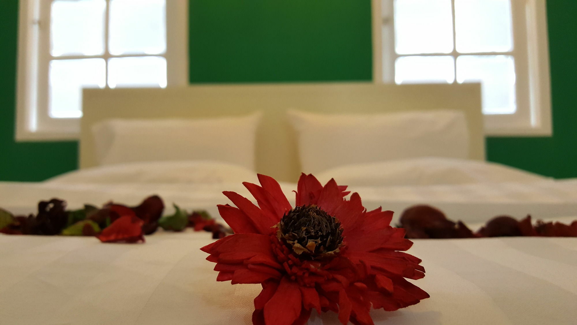 Mr.sea In Hostel Bangkok