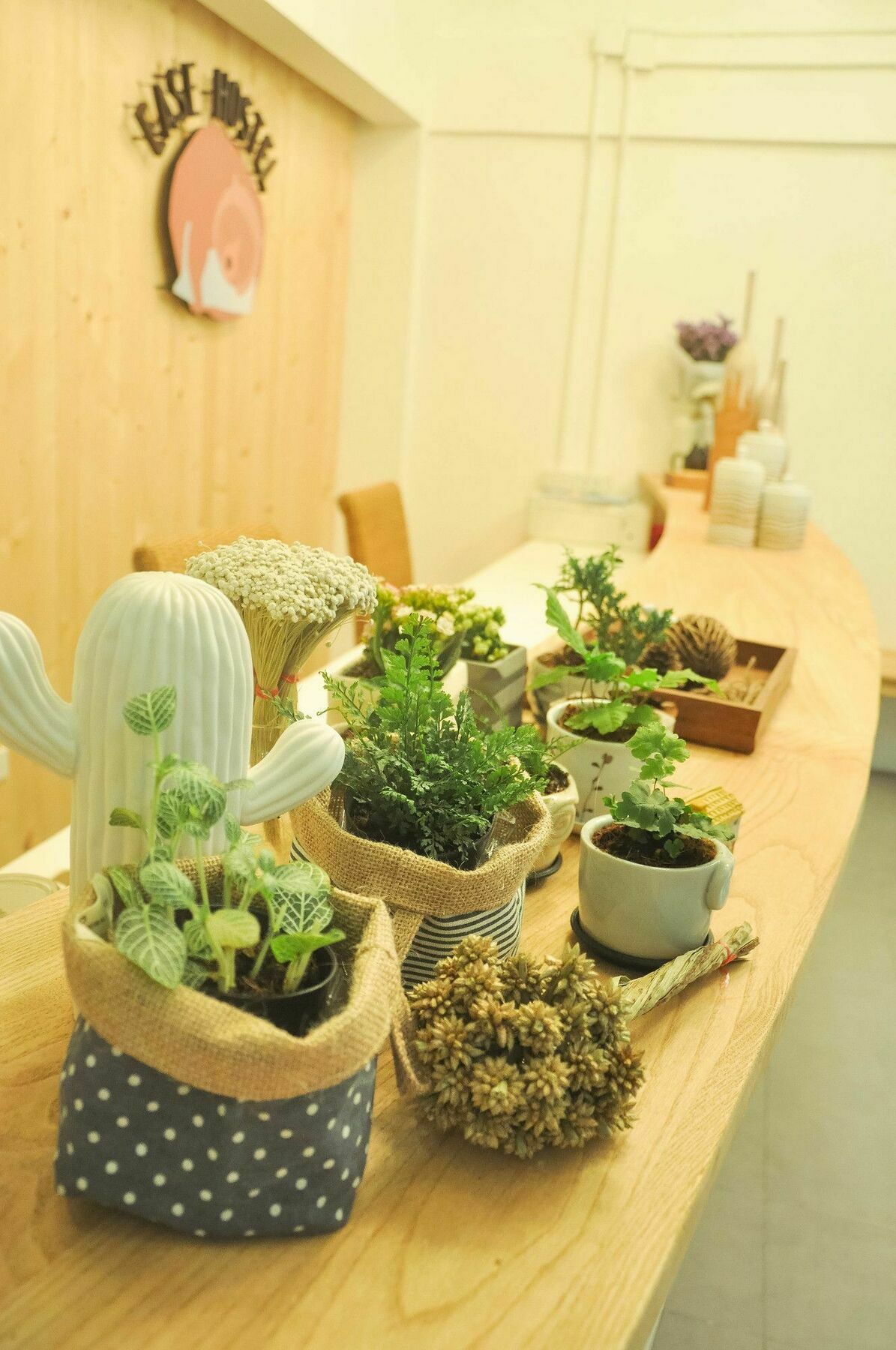 Chung Cư 10 M² Có 0 Tắm Riêng ở Chatuchak *