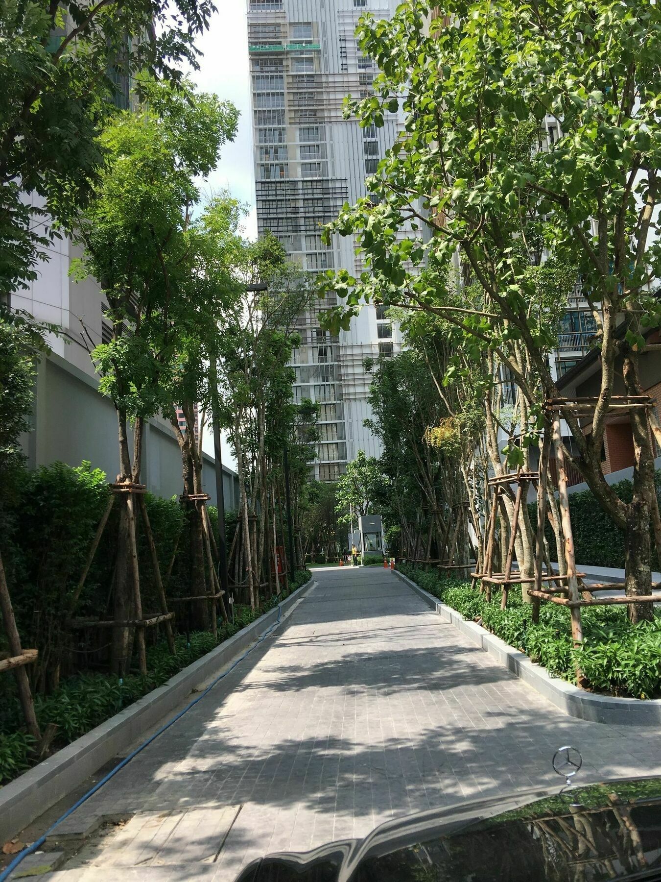 Luxury 3 Bedroom In Downtown Hotel 3*