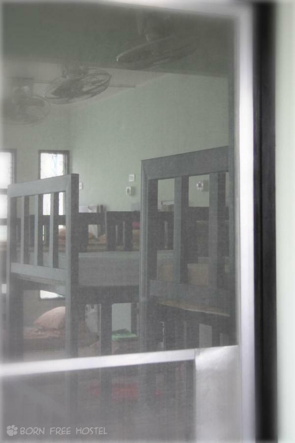 Hostel Born Free *