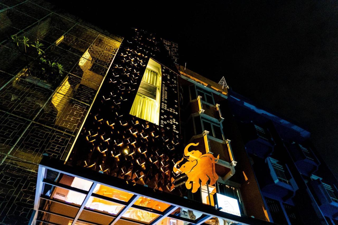 The Lol Elephant Hostel *