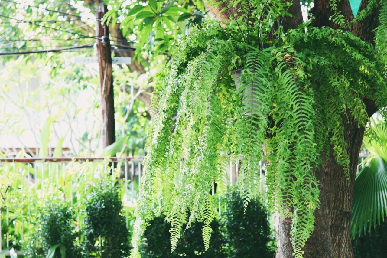 24 Samsen Heritage House * Bangkok