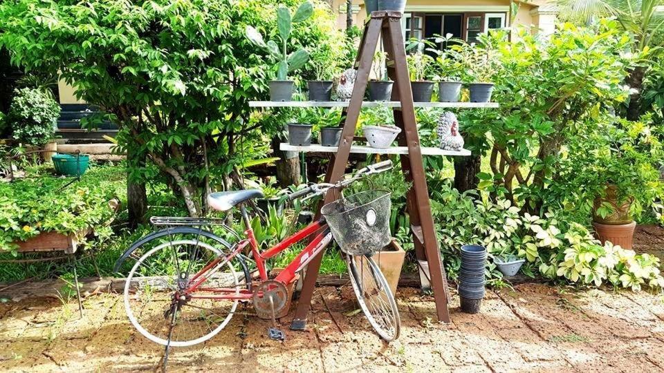 Homestay Garden *