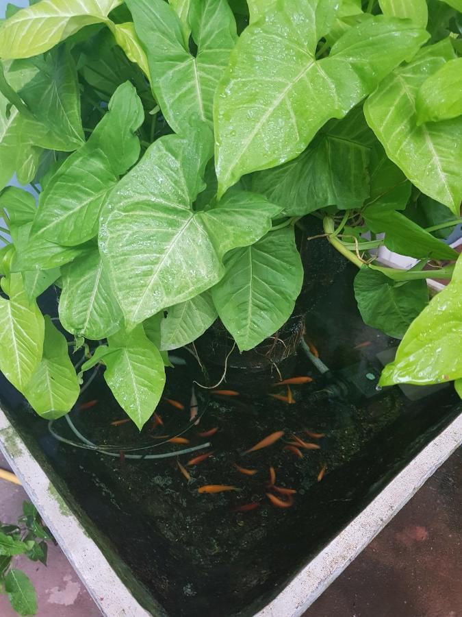 Garden * Bangkok