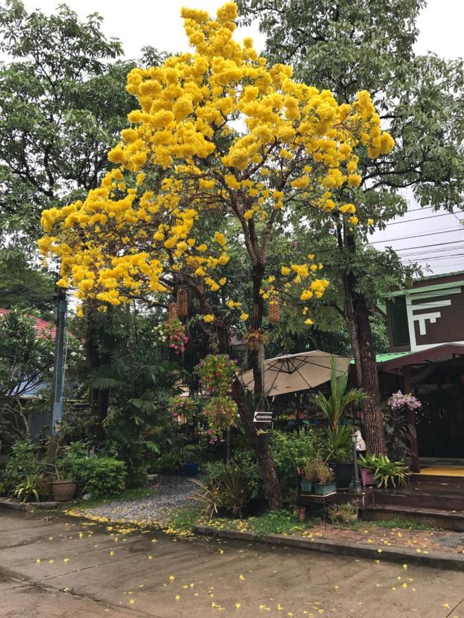 Homestay Garden