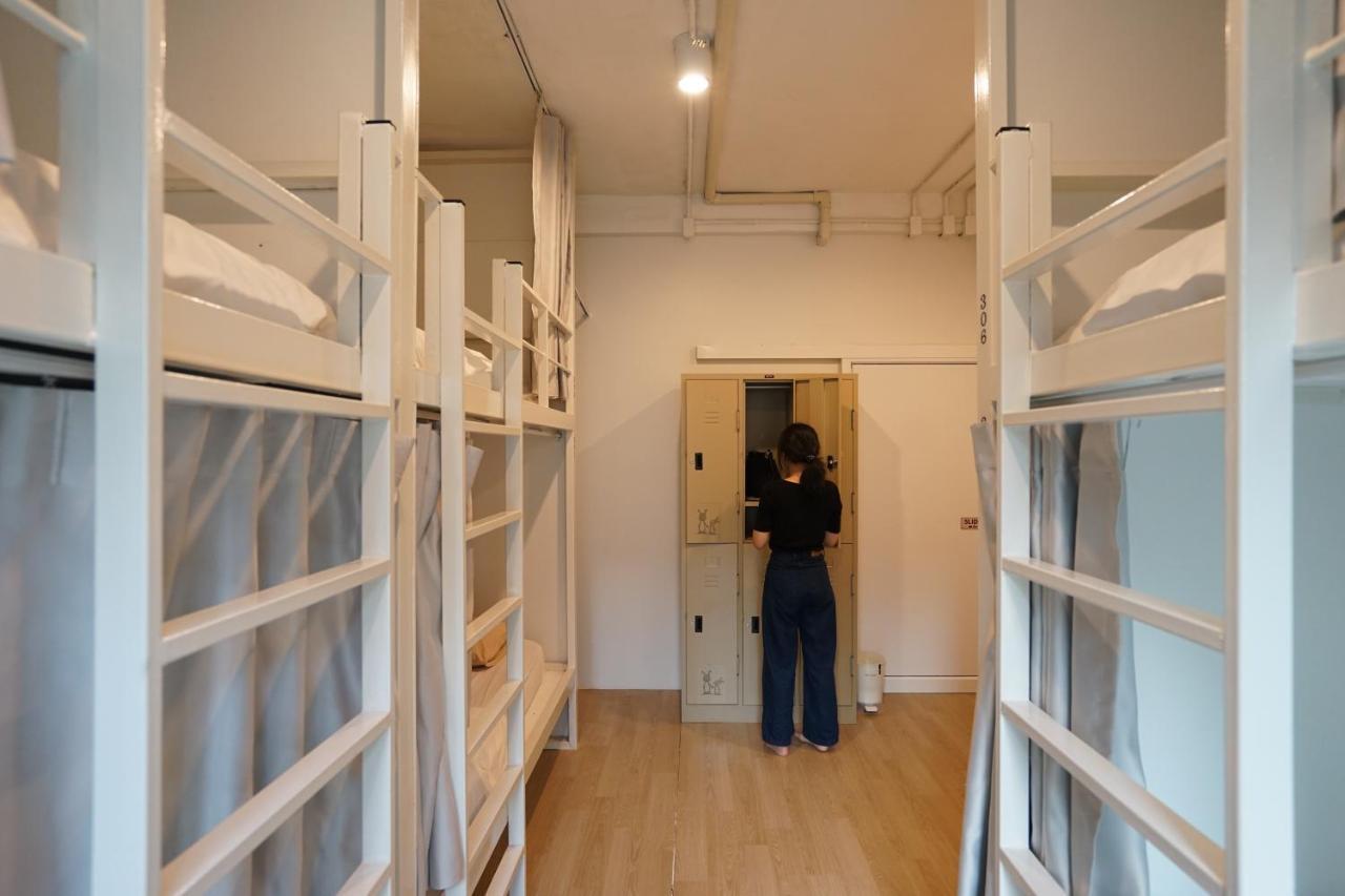 Hostel Rabbitat *