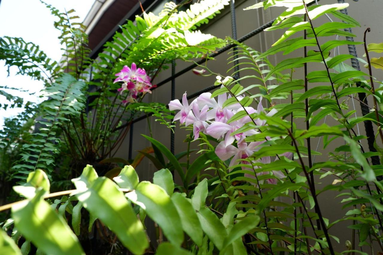 Bed Place Ostello Bangkok