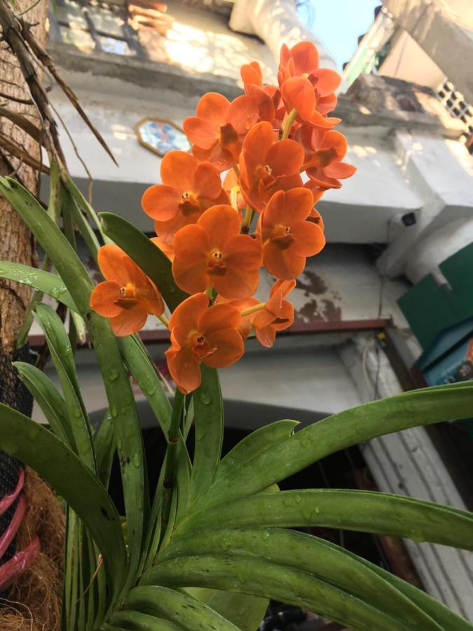 Guest house Cafe De Baan Raow Bangkok