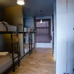 Analog Hostel