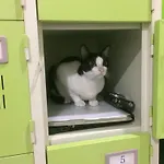 バンコク日本人宿その名もjp For Japanese Only