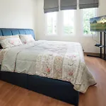 H1, Wi-Fi 1,000 Mbps, Fashion Island, Mrt