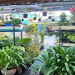 Pa Chalermchai Guesthouse