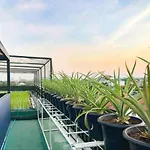 Delighted Bangkok Hotel