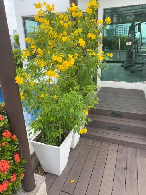 Pangsapuri Delightful In Location At Sukhumvit 49 *
