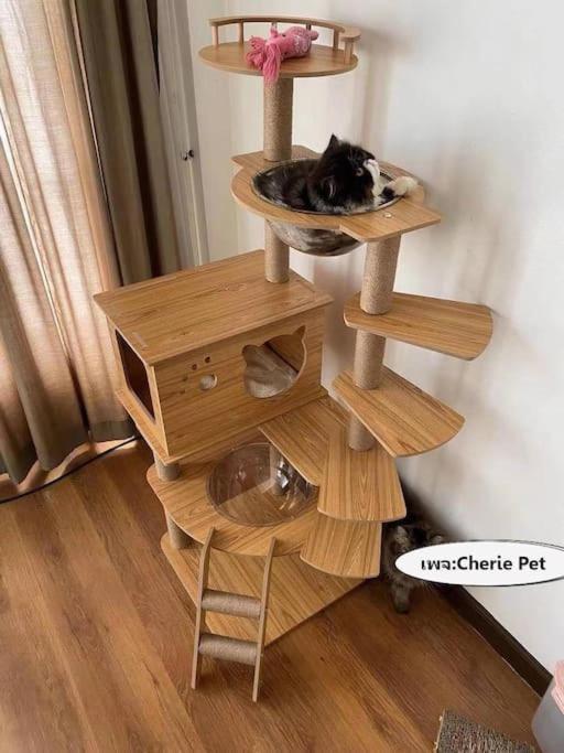 Holiday home Cat 's Lover Town House Suvarnabhumi Airport Bangkok