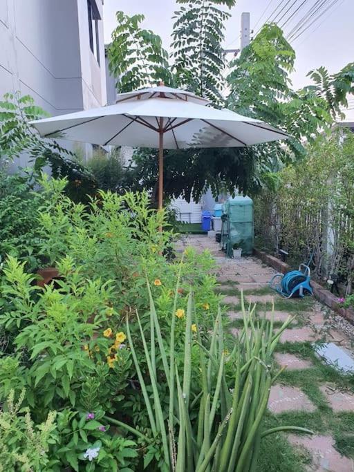 Cat 's Lover Town House Suvarnabhumi Airport * Bangkok