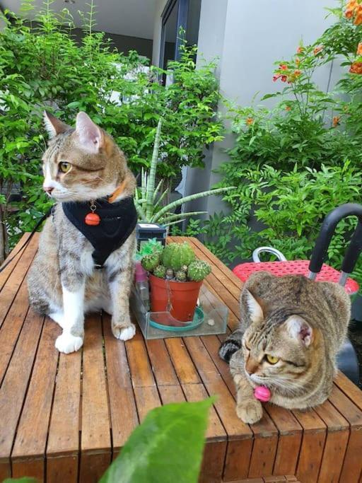 Cat 's Lover Town House Suvarnabhumi Airport Holiday home *