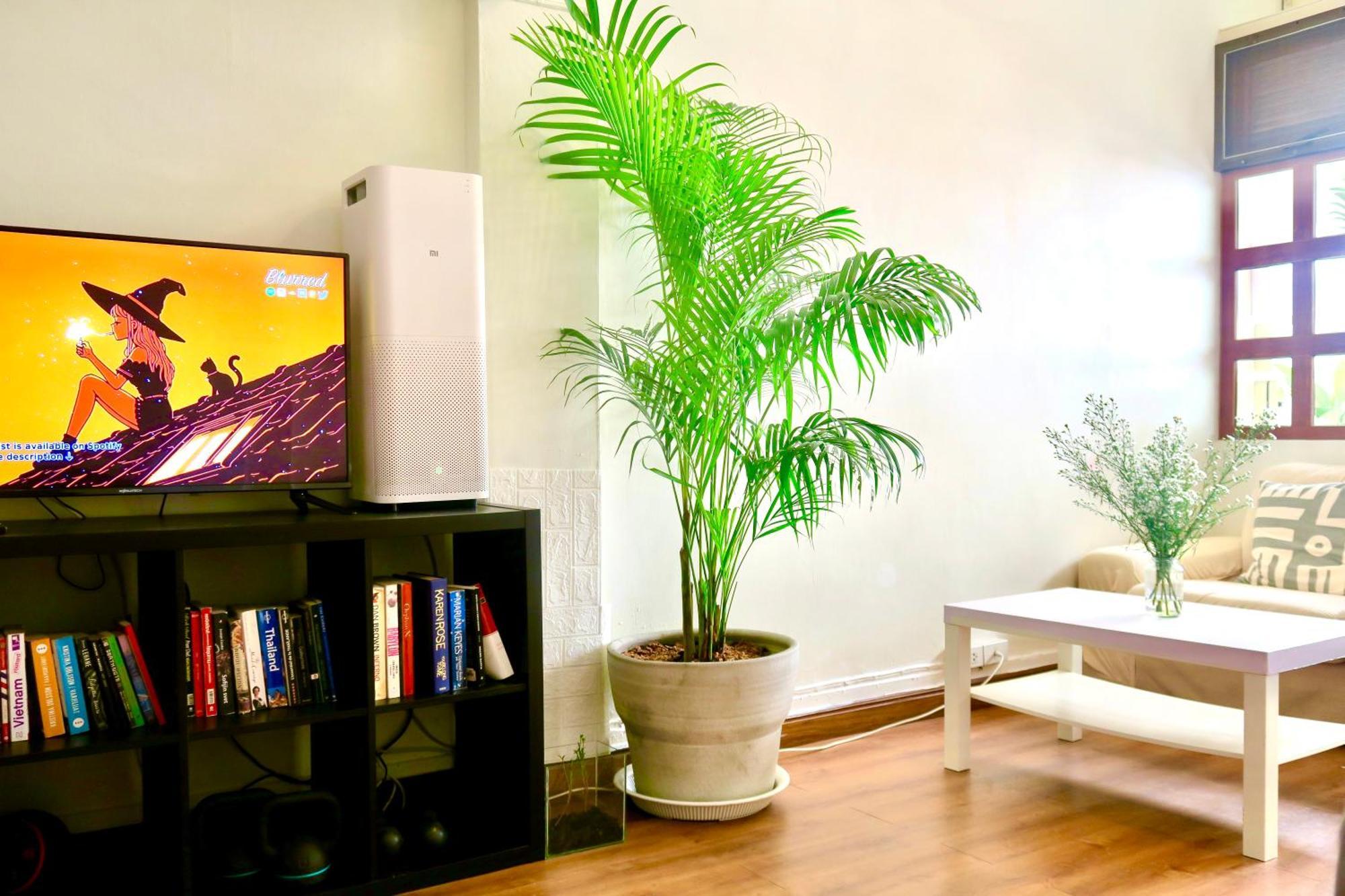 Les Fleurs Guest house