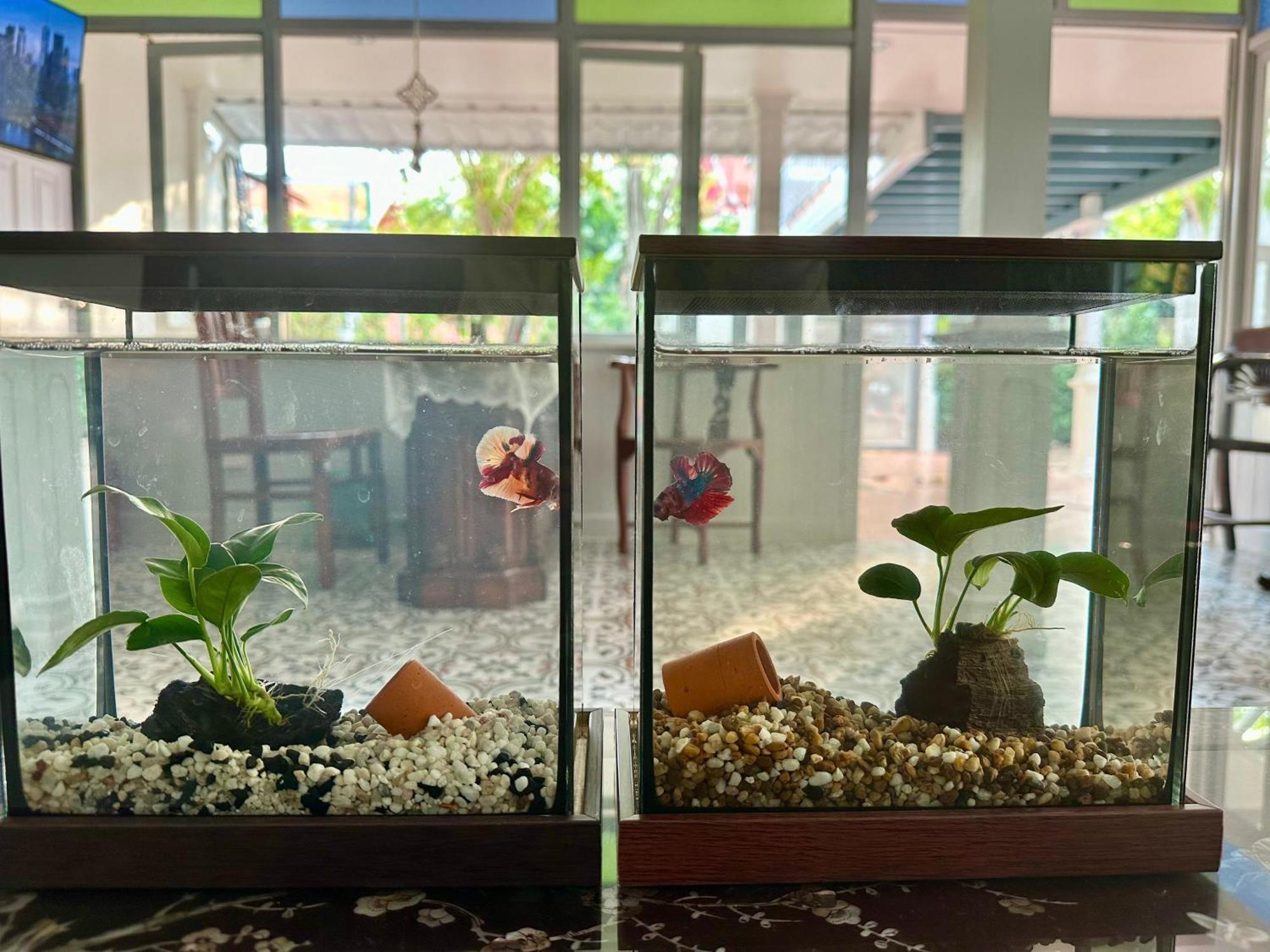 Hotell Baan Debtida Bangkok