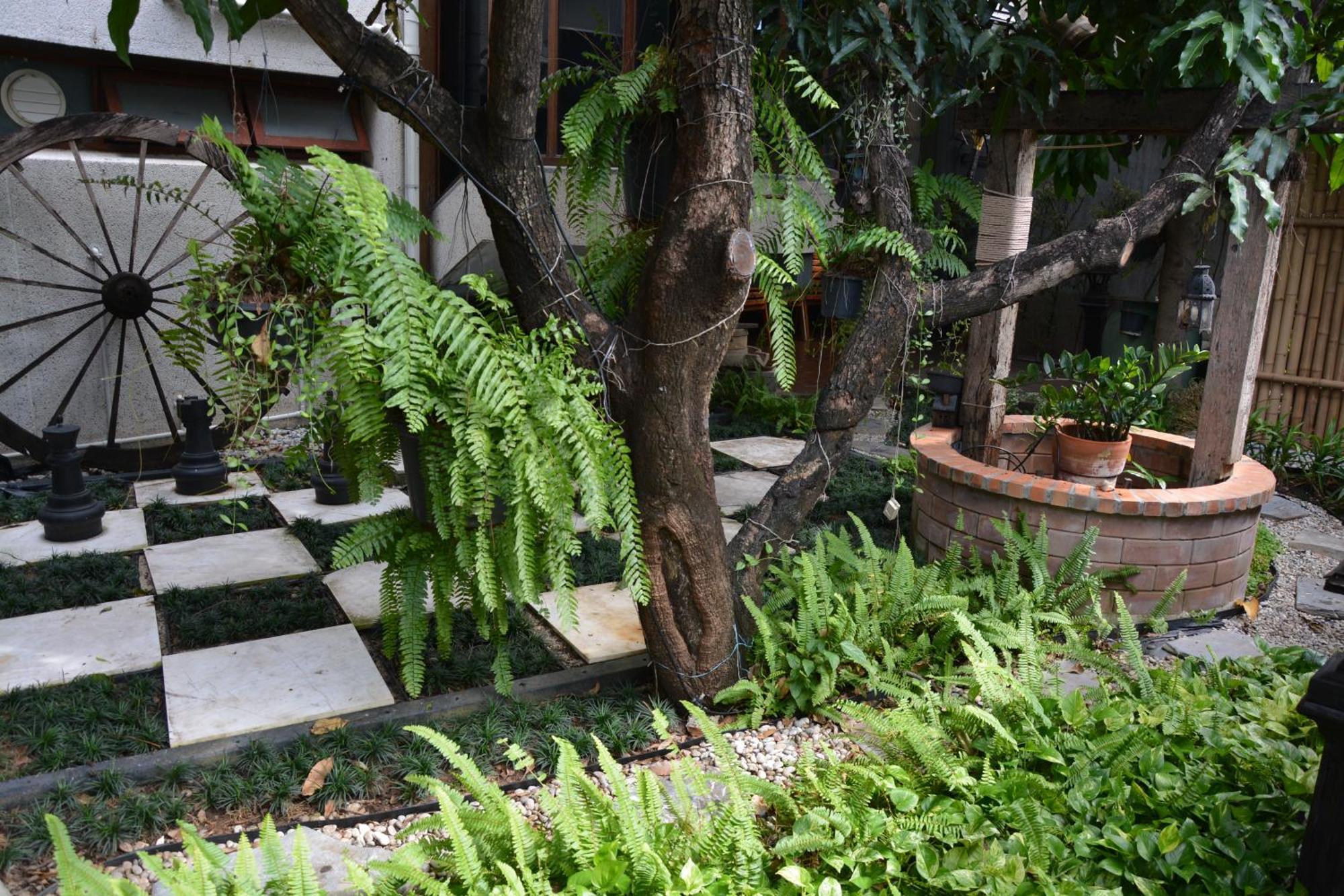 Tempat Tidur & Sarapan Narra House Sukhumvit58 Bangkok