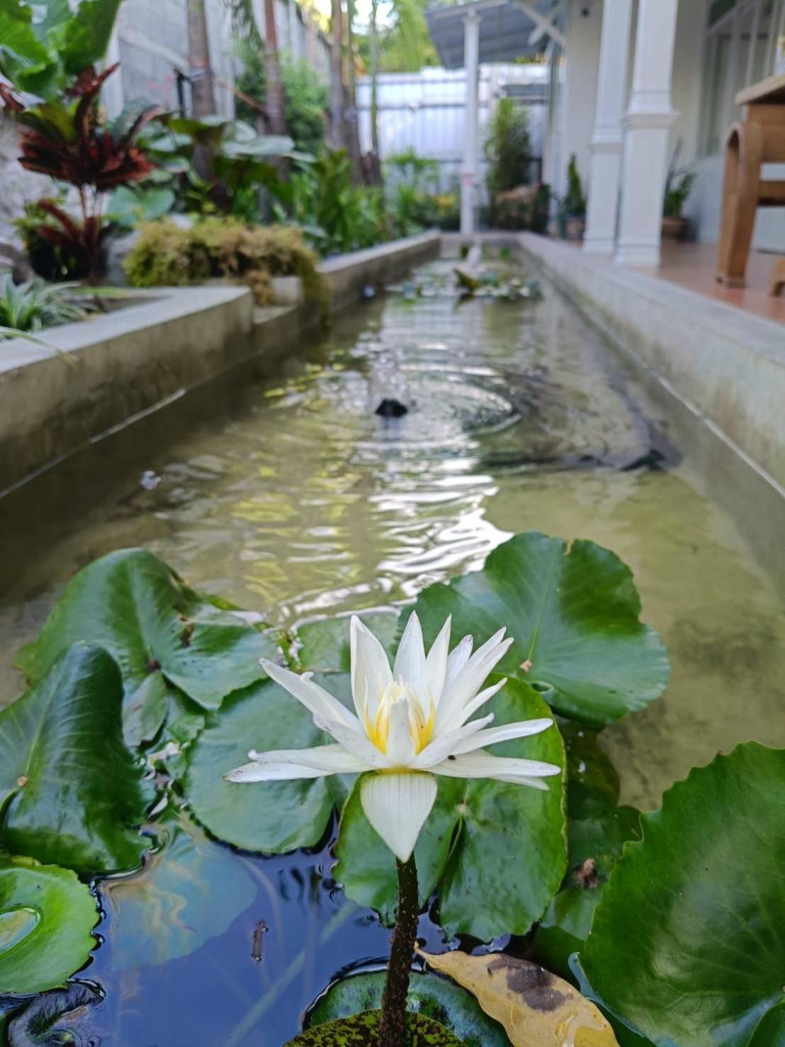 Hotell Baan Debtida Bangkok