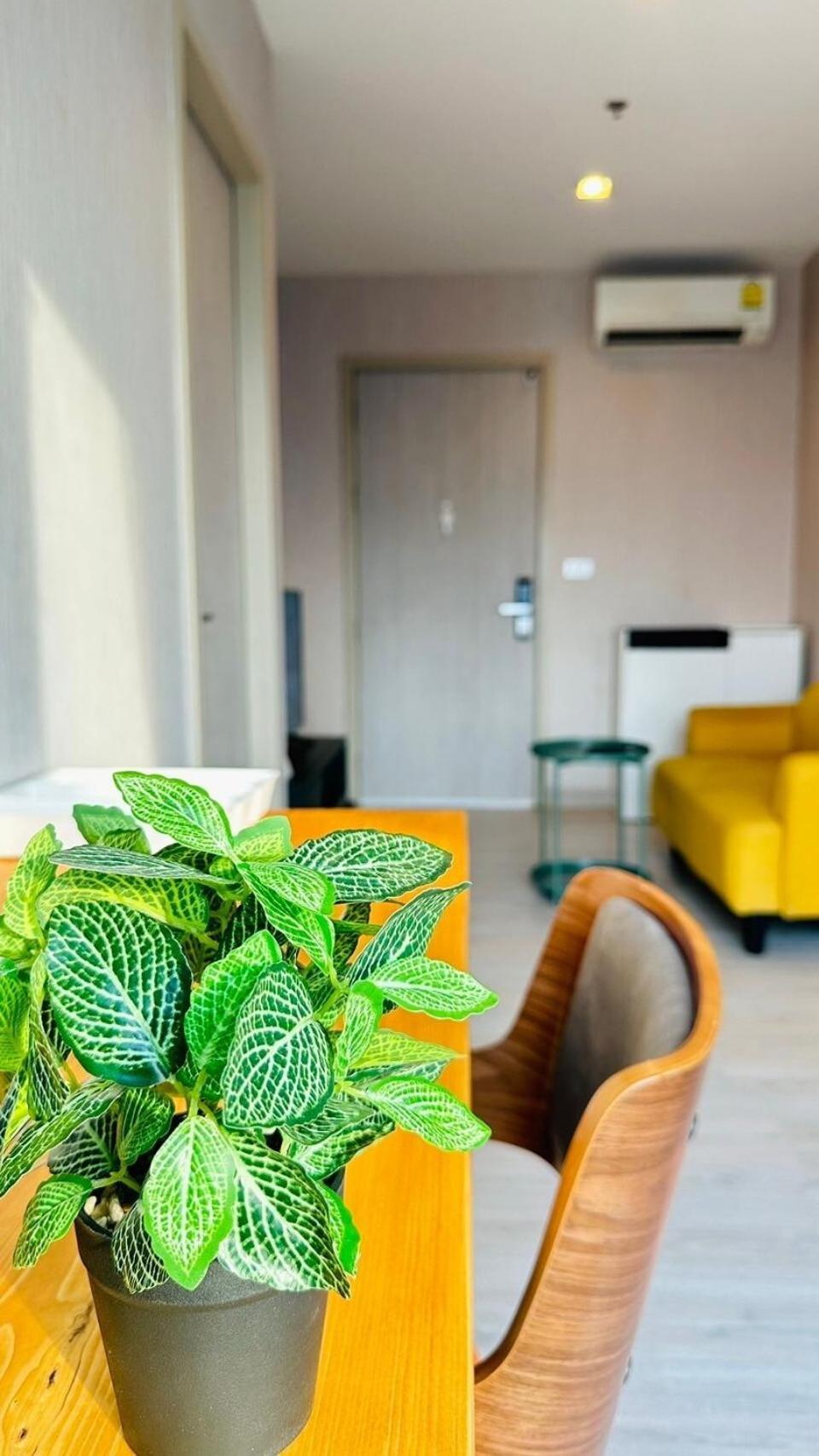 Bts Thonglor Luxury 35sqm With Pool & Sauna Bangkok