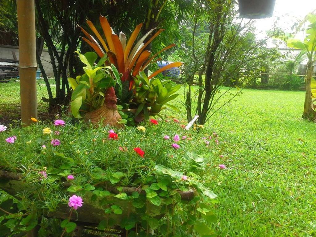 Homestay Garden *