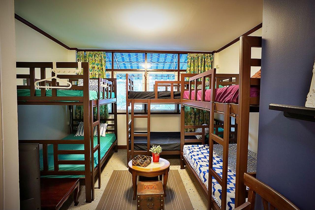 Tailorbird Bed & Breakfast