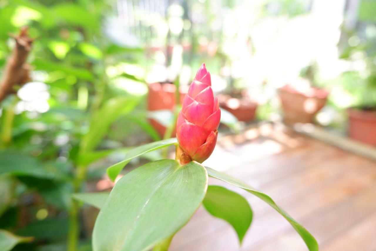 Bed & Breakfast Mon & Yoga Donmueang