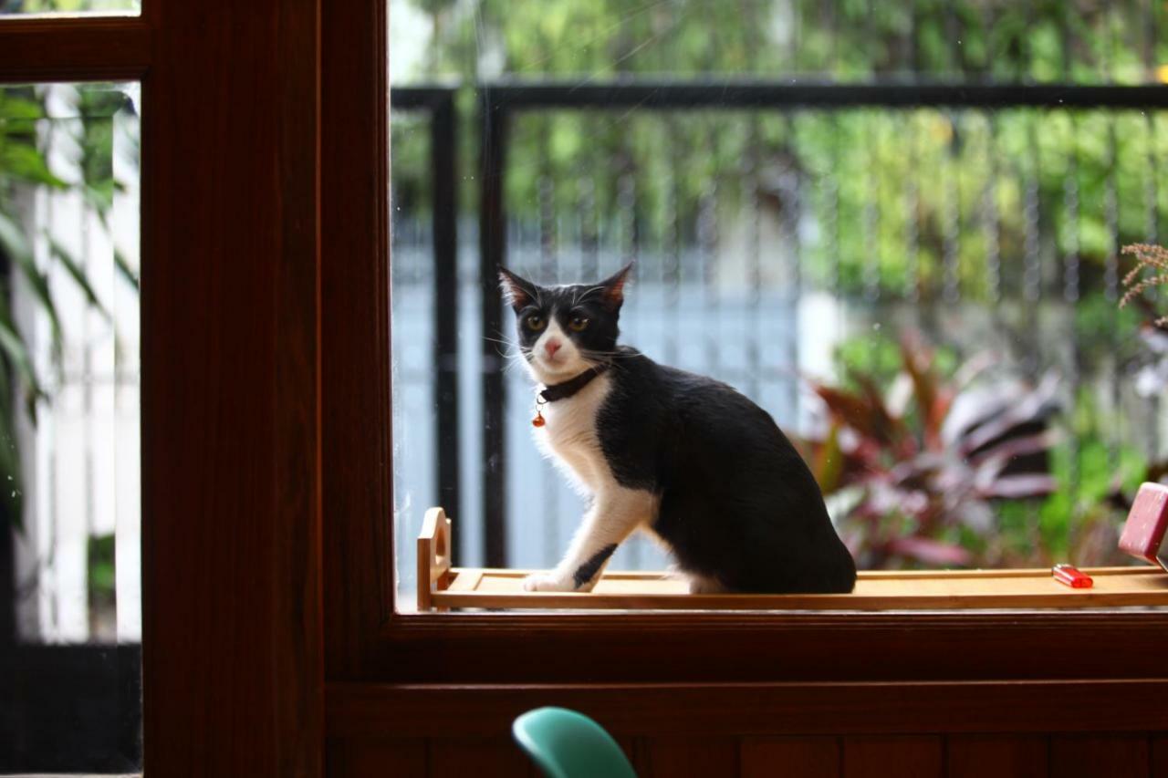 Pensión Madcat 曼谷疯猫民宿 *