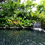 Tree Villa Bangkok