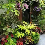 37 Nature House