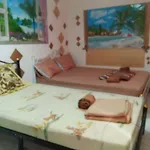 Star Amir Guesthouse