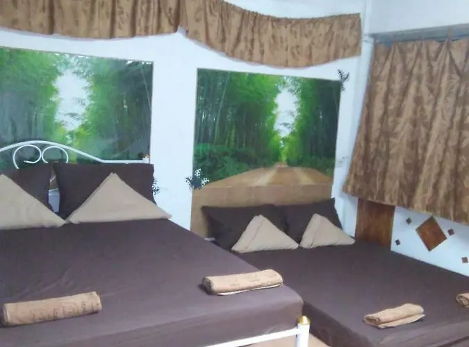 Star Amir Guesthouse