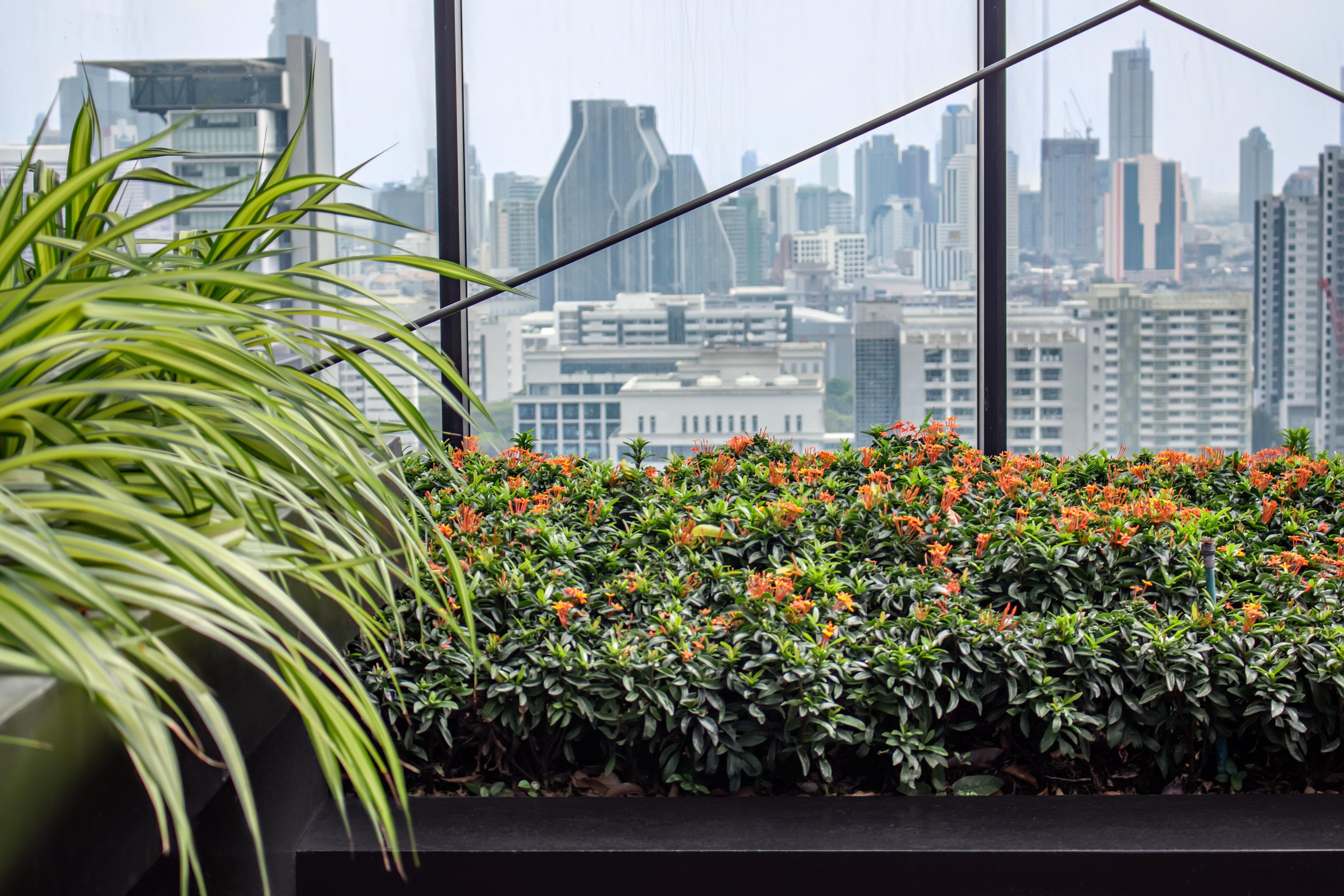Express Siam By Ihg Hotel Bangkok