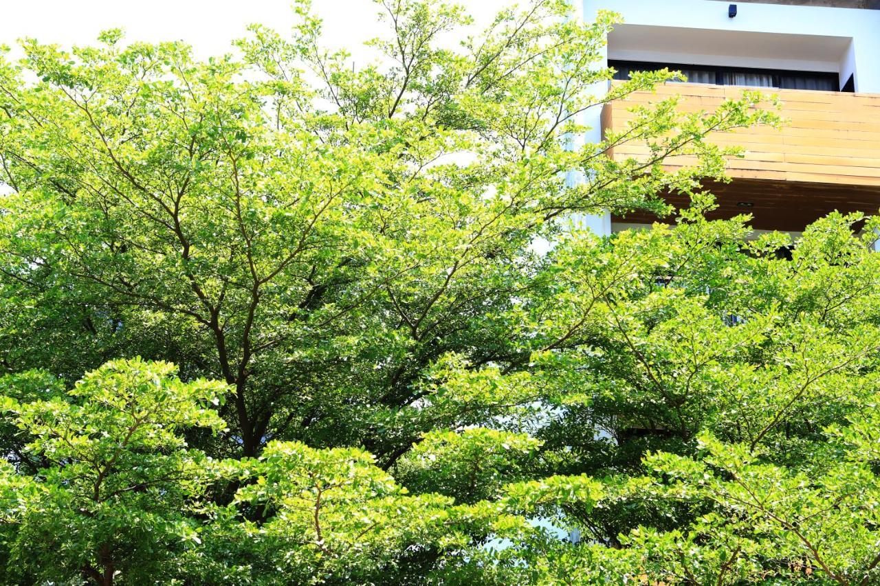 The Silver Palm Wellness Bangkok