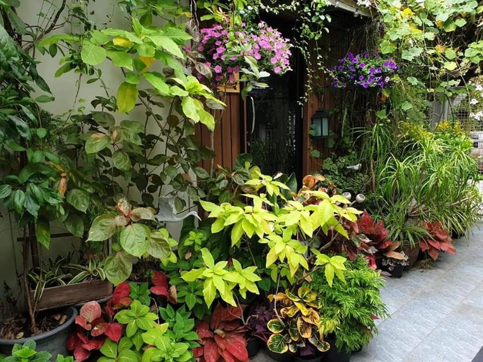 37 Nature House Bangkok